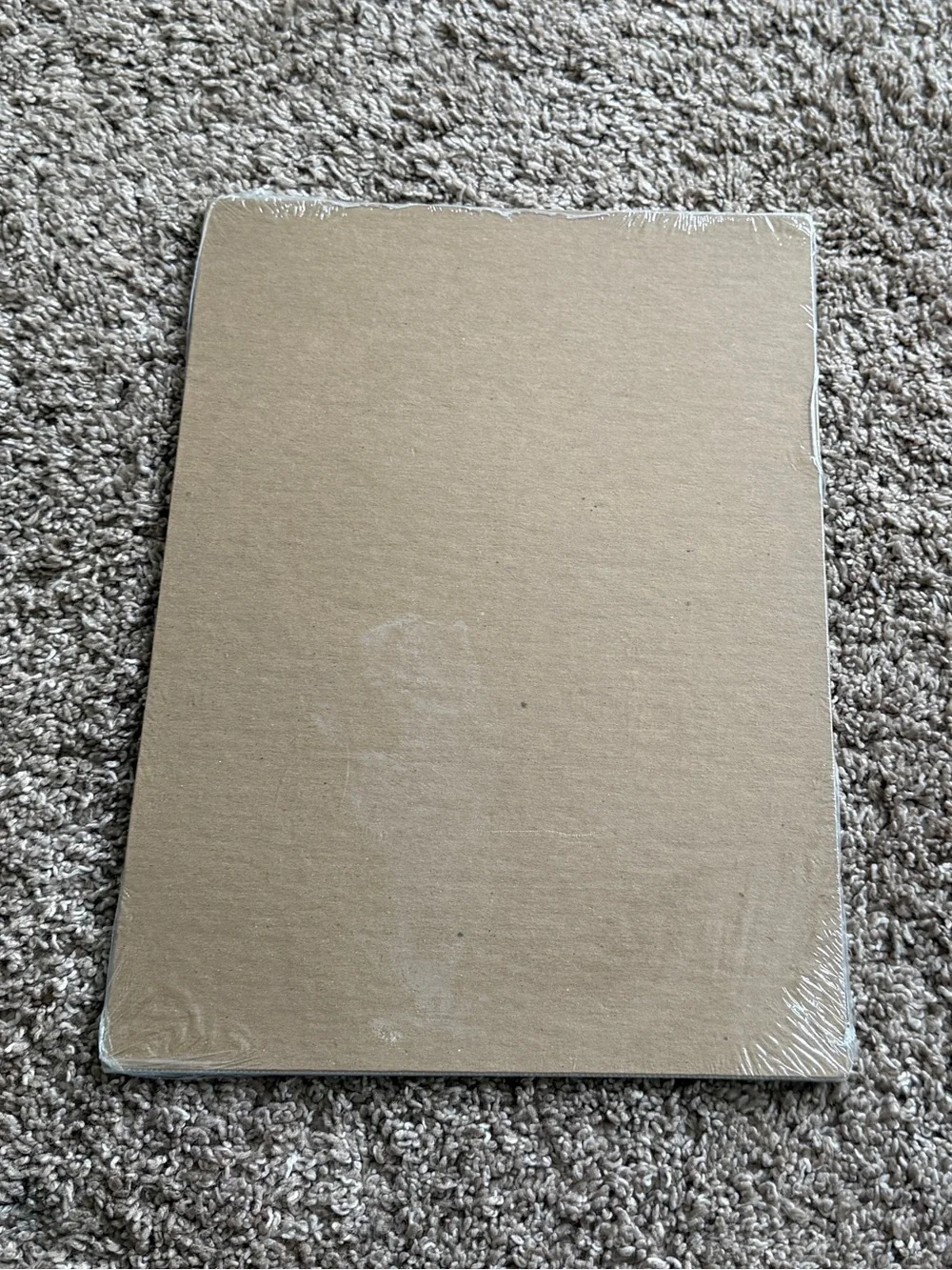 Creative Memories 8.5x11 Scrapbook Page Protectors 15 Sheets NEW UNOPENED 2004